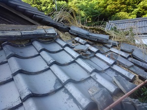 和泉市での瓦屋根修理調査