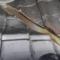Thumbnail of new posts 131