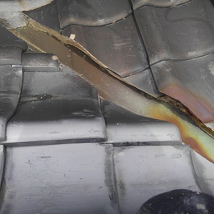 Thumbnail of post image 115