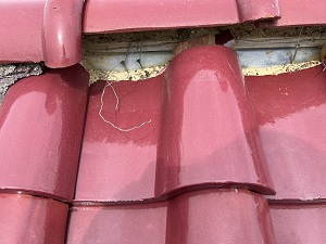 和泉市での屋根修理調査