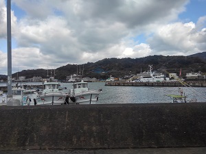 和歌山県の漁港を眺めてました