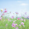 Thumbnail of post image 168