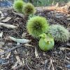 Thumbnail of post image 070