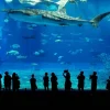 Thumbnail of post image 111