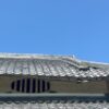 Thumbnail of new posts 183